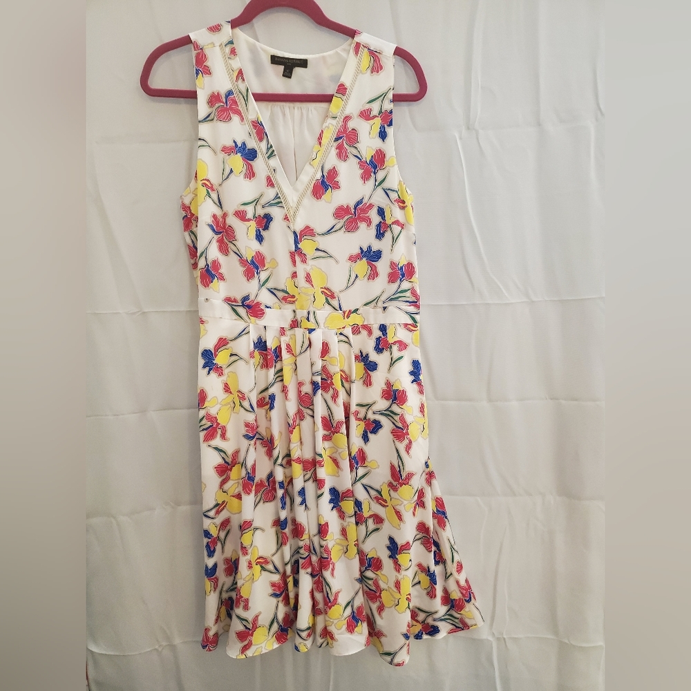 Banana Republic Size 12 Steve's Dress